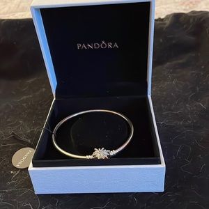 Pandora Charm Bracelet sterling silver. For Charms. Sterling silver never worn!!